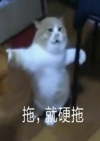 西幻魅魔成长日记在线阅读